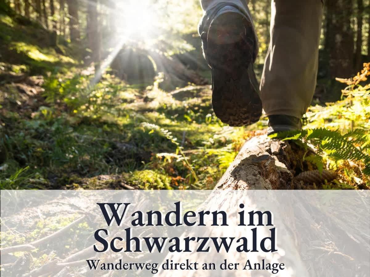 Relax-Apartment 164 Mit Indoor-Pool, Sauna, Kueche Und Netflix Schonach im Schwarzwald Exterior photo